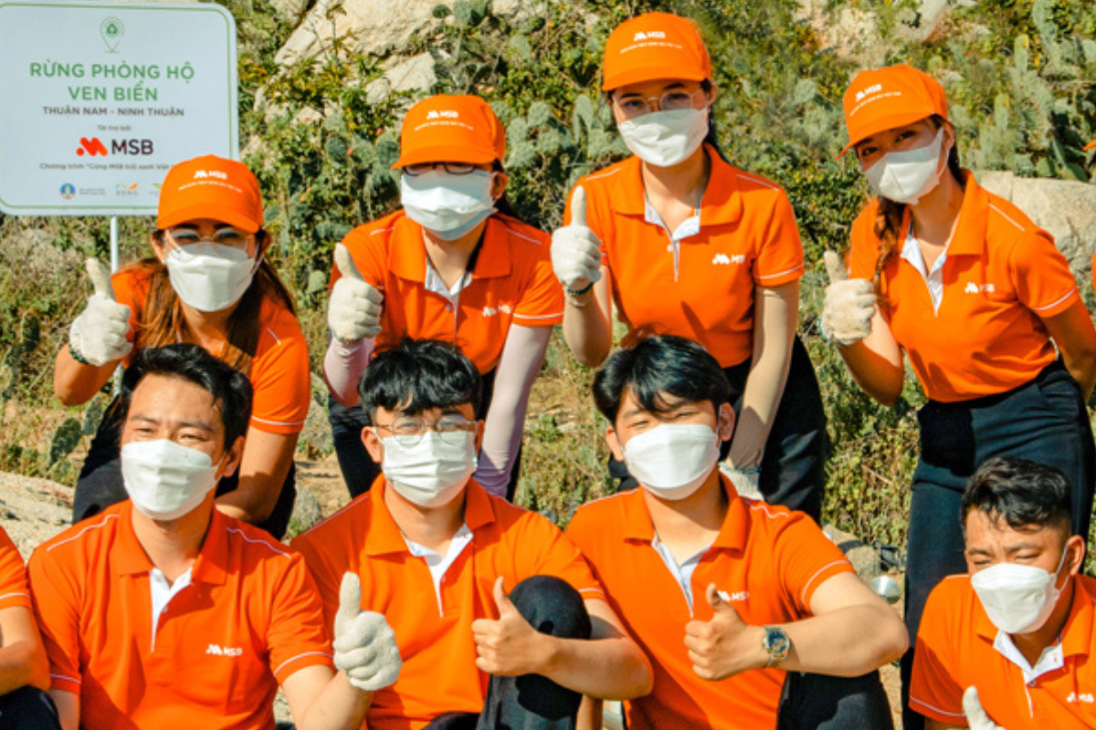 Giới thiệu về Ngân Hàng MSB - Cùng Vươn Tầm