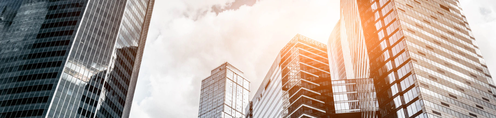 MSB Mastercard mDigi