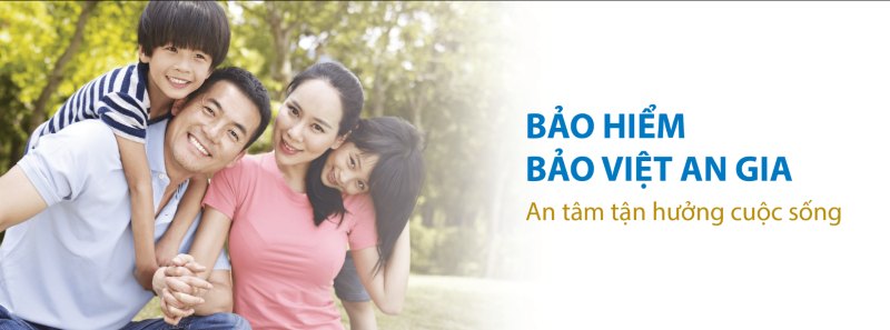 Bảo hiểm Bảo Việt: Dẫn đầu thị trường với mạng lưới rộng khắp toàn quốc.