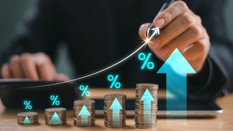 Tỷ suất lợi nhuận bị ảnh hưởng từ những yếu tố bên trong gồm chi phí, quản trị,...